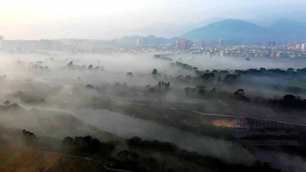 史小坑的爆笑生活10