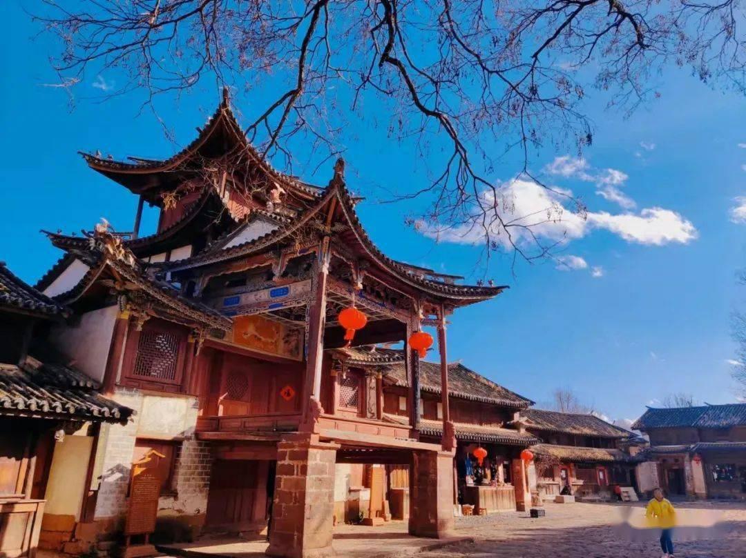 丹顶鹤是不是中国的给国鸟？游戏画面