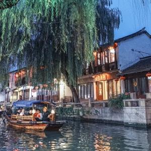 救援鹦鹉